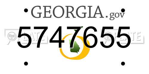 5747655 Georgia License Plate