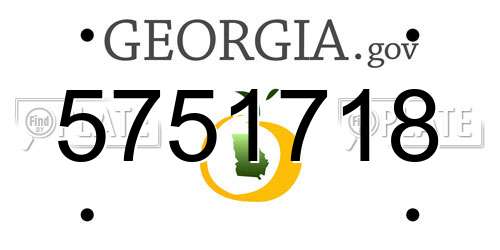 5751718 Georgia License Plate