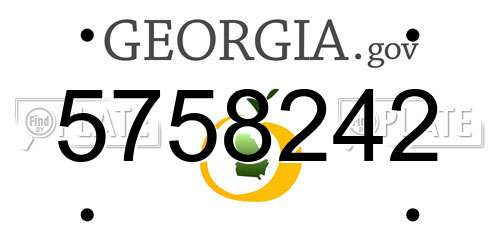 5758242 Georgia License Plate