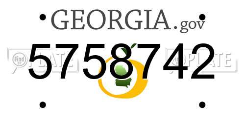 5758742 Georgia License Plate