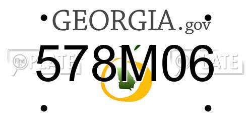 578M06 Georgia License Plate