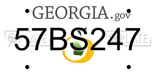 57BS247 Georgia License Plate