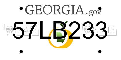 57LB233 Georgia License Plate