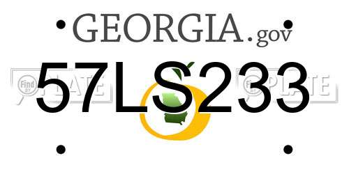 57LS233 Georgia License Plate