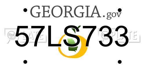 57LS733 Georgia License Plate