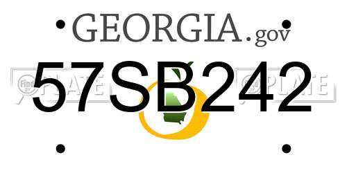 57SB242 Georgia License Plate