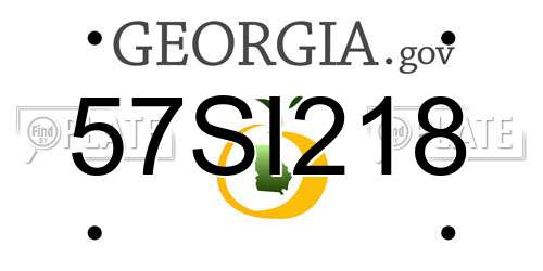 57SI218 Georgia License Plate