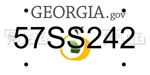 57SS242 Georgia License Plate