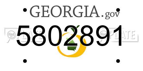 5802891 Georgia License Plate