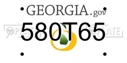 580T65 Georgia License Plate