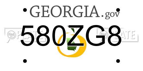 580ZG8 Georgia License Plate