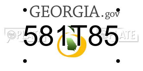581T85 Georgia License Plate