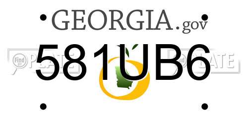 581UB6 Georgia License Plate