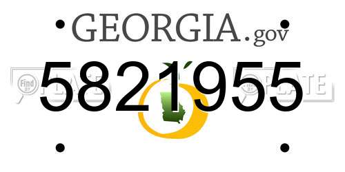 5821955 Georgia License Plate