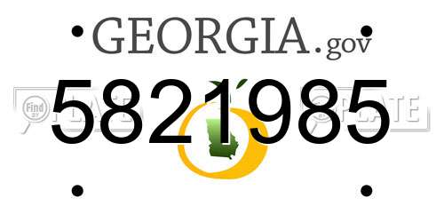 5821985 Georgia License Plate
