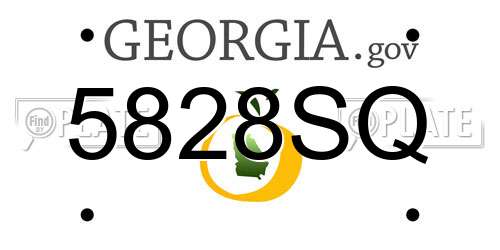 5828SQ Georgia License Plate