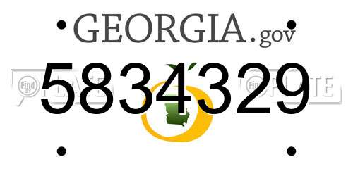 5834329 Georgia License Plate