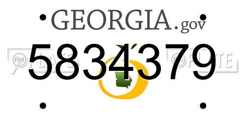 5834379 Georgia License Plate