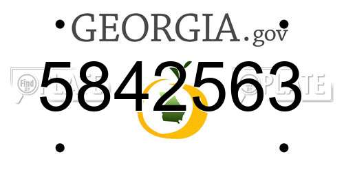 5842563 Georgia License Plate