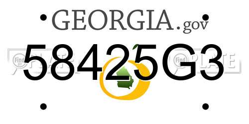58425G3 Georgia License Plate