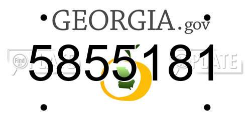 5855181 Georgia License Plate