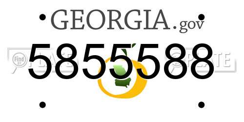 5855588 Georgia License Plate