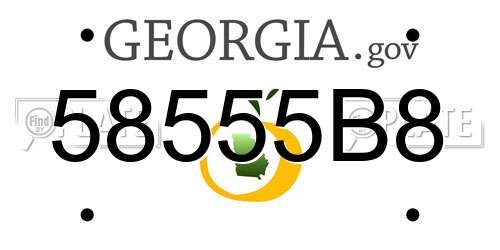 58555B8 Georgia License Plate