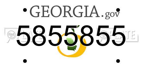5855855 Georgia License Plate