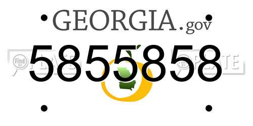 5855858 Georgia License Plate