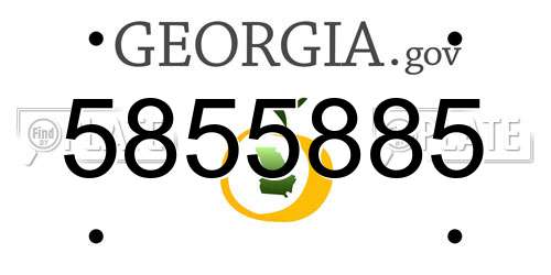 5855885 Georgia License Plate