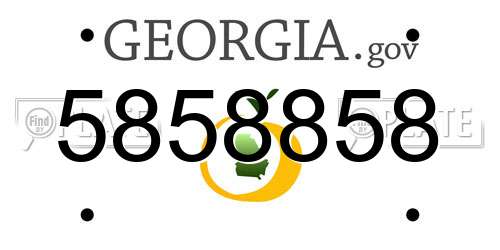 5858858 Georgia License Plate