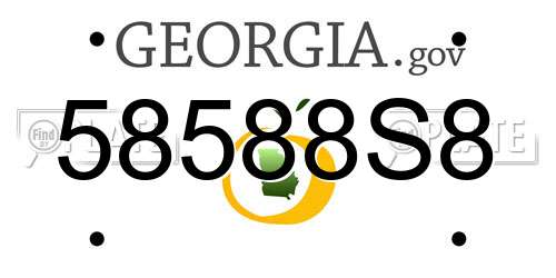58588S8 Georgia License Plate