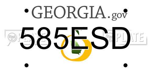 585ESD Georgia License Plate