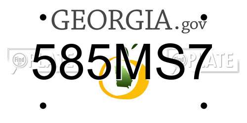 585MS7 Georgia License Plate