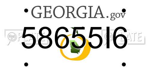 58655I6 Georgia License Plate