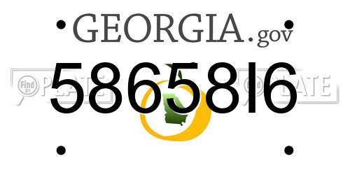 58658I6 Georgia License Plate