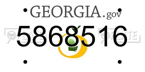 5868516 Georgia License Plate