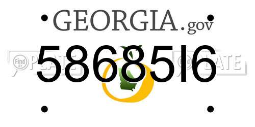 58685I6 Georgia License Plate