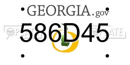 586D45 Georgia License Plate