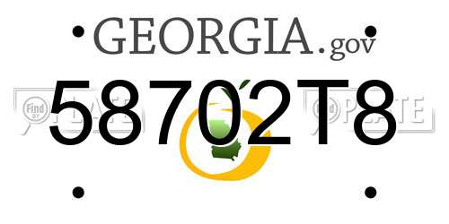 58702T8 Georgia License Plate