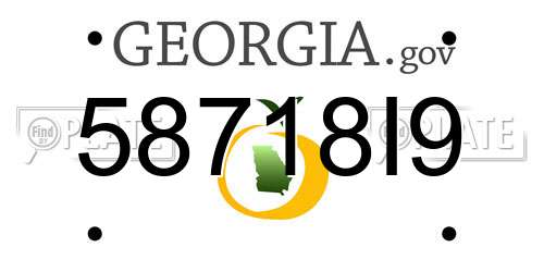 58718I9 Georgia License Plate