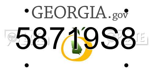 58719S8 Georgia License Plate