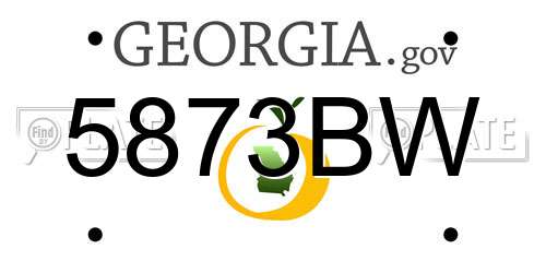 5873BW Georgia License Plate