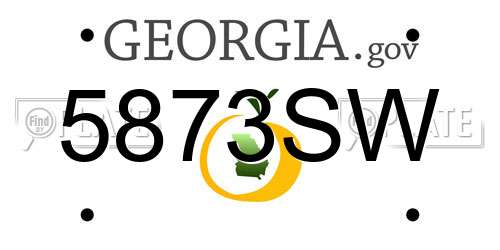 5873SW Georgia License Plate