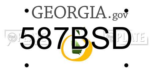587BSD Georgia License Plate