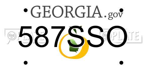 587SSO Georgia License Plate