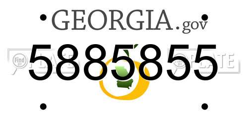 5885855 Georgia License Plate