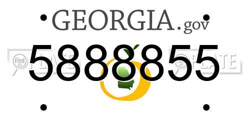 5888855 Georgia License Plate