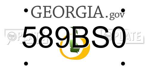 589BS0 Georgia License Plate