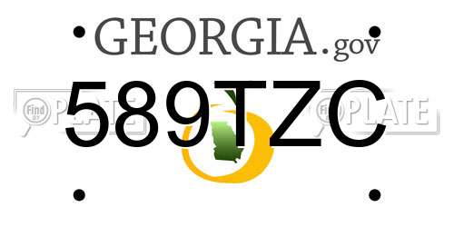 589TZC Georgia License Plate
